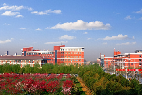 河南艺校排名前十(河南艺校排名)插图9