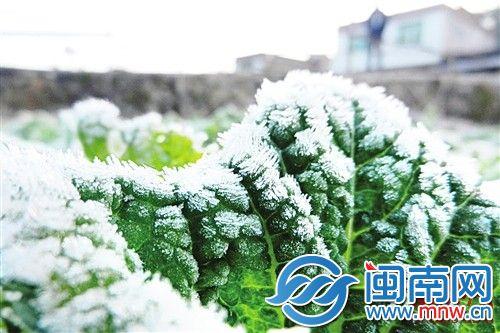 2020立冬是哪一天什么时间(2023年立冬是哪天)插图