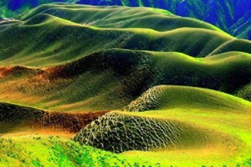 草原图片(草原美图)插图16