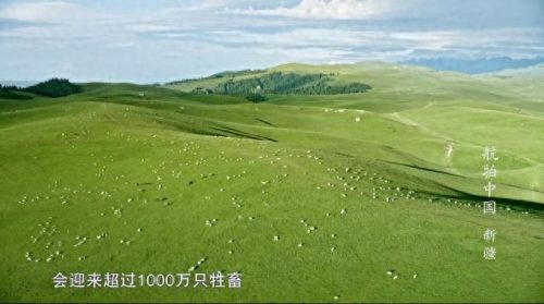 排名前十的孩子(孩子排名前十的能力)插图15