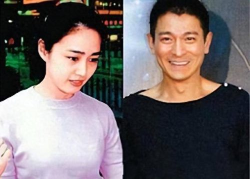 朱丽倩个人资料(刘德华几个孩子)插图1