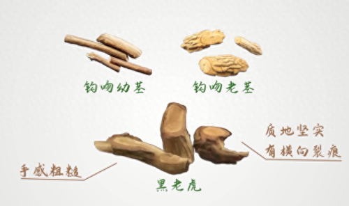 毒米线(毒面筋毒米线新闻)插图5