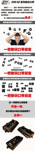 数码口琴排名前十(数码口琴的不足)插图