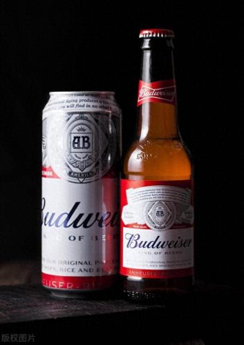 世界啤酒品牌排名前十(世界最大的啤酒品牌)插图