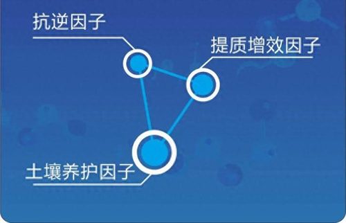全国微生物实验室排名前十(微生物实验室六大分区)插图3