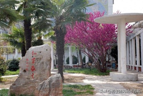 兖州市私立高中排名前十(兖州最好高中)插图10