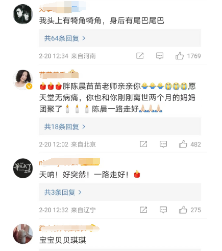 北京卫视主持人陈晨(陈晨个人简介)插图11