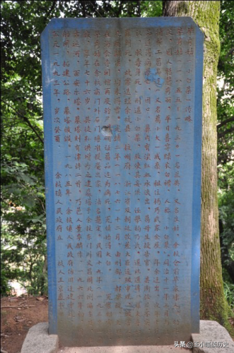 杨乃文证据(杨乃文推开世界的门)插图26