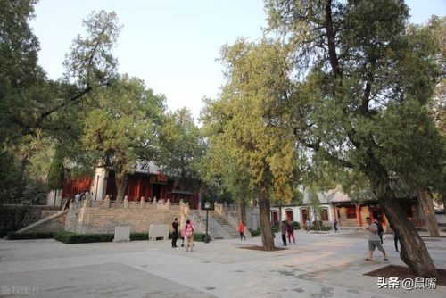 沦落是什么意思(堕落是什么意思)插图3