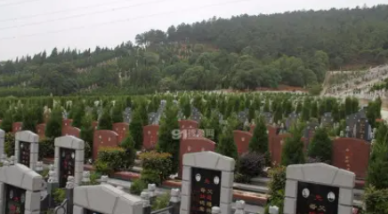 墓地园林企业排名前十(宝鸡陵园墓地排名)插图8