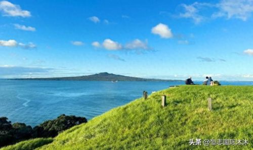 新西兰国家排名前十(新西兰最好大学排名)插图16
