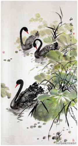 白腹凯克鹦鹉(凯克多少钱一只)插图7