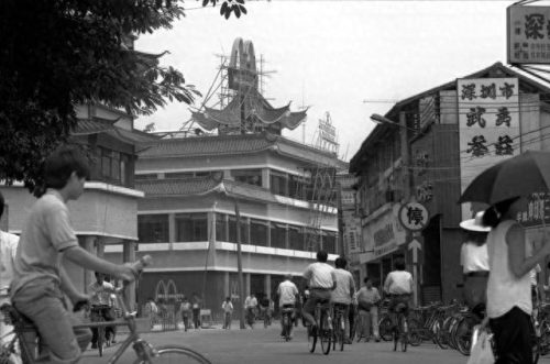 波拉科夫斯(波拉科夫斯基)插图7