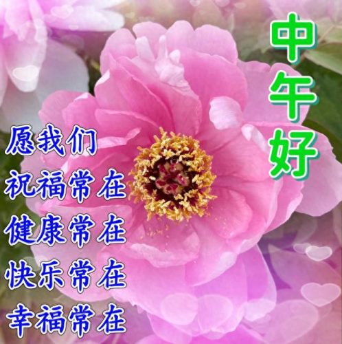 心存感恩图片(感恩图片)插图16