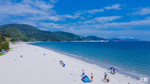 荷兰旅游排名前十(荷兰花海)插图2