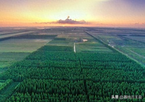 盐城水域排名前十(盐城市省内排名)插图79