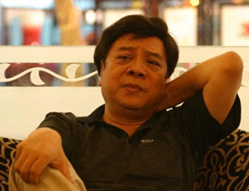 赵忠祥 录音(赵忠祥每月退休金是多少)插图9