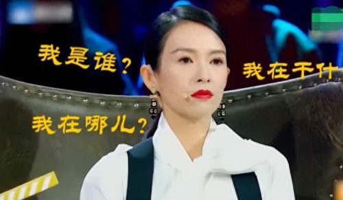 章子怡诈捐门(章子怡)插图18