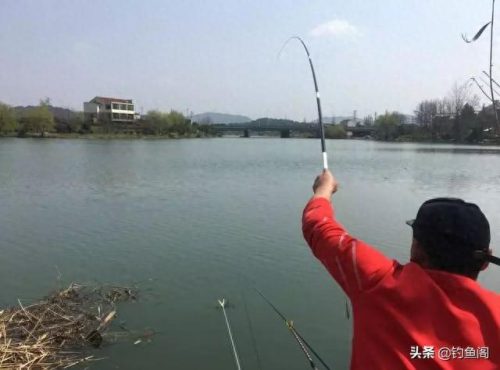 排名前十综合鱼竿(世界鱼竿排行榜前十位)插图5