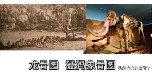 民间关于蛇的传说(有关蛇的传说)插图4