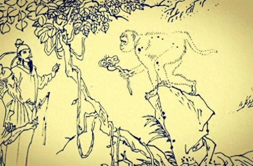 赶路的月光(最近火遍全网的三首歌)插图