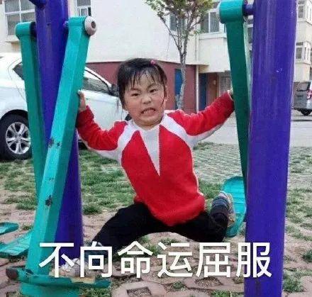黄历吧(黄历是什么意思)插图15