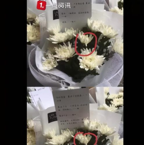 老虎咬饲养员被击毙(饲养员喂老虎为啥不喂饱呢)插图1