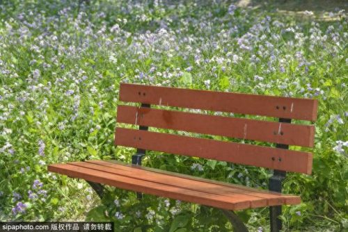 北京西城免费公园排名前十(北京最好免费公园)插图16