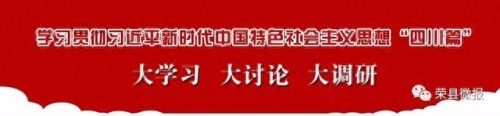 荣县小学排名前十(荣县最好的小学排名)插图12
