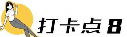 荷兰旅游排名前十(荷兰花海)插图48