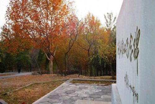 白水寺森林公园(白水寺简介)插图32