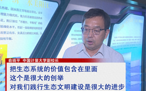 高淳荷花仙子杨晓丹(历届高淳荷花仙子)