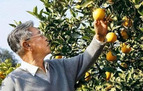 自动卷烟机排名前十品牌(卷烟机半自动品牌)插图