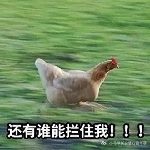 行管专业排名前十(行管专业哪个学校最好)插图