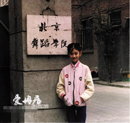 李小冉为什么流产(李小冉)插图6