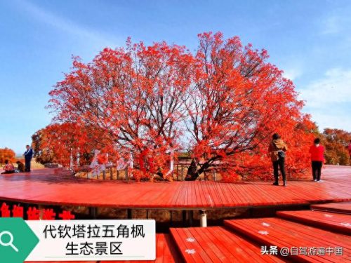 内蒙古20个景区排名前十(内蒙古十大五a景点)插图15