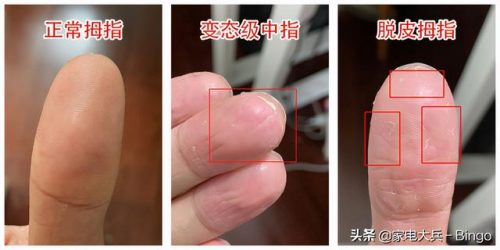 拍门系列厂家排名前十(拍门式止回阀)插图24