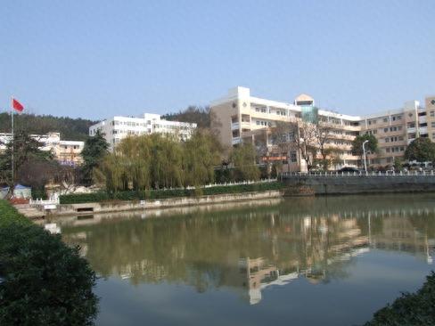 庐江县寄宿高中排名前十(庐江县前十的初中)插图4