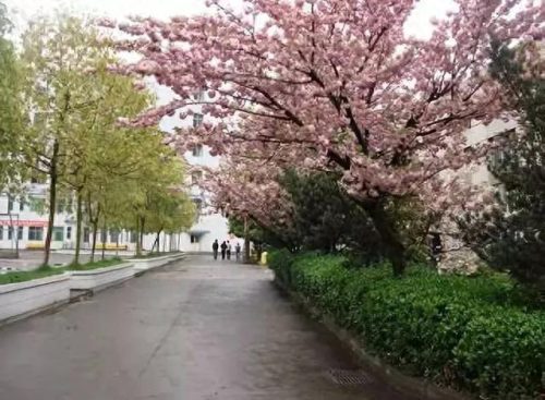 黔东南黎平县中学排名前十(黔东南黎平5所重点高中)插图13