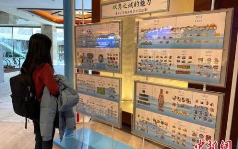 天各一方打一生肖(天各一方打一动物)
