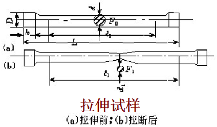 互为质数什么意思(质数和合数的概念)插图5