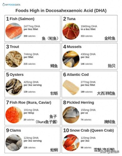 排名前十的dha(最好口碑的dha)插图1