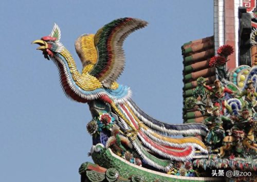 乌鸦世界排名前十(乌鸦战斗力排名)插图1