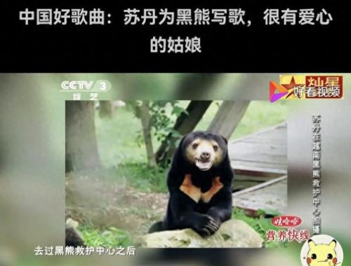 中国好歌曲柳重言(柳重言写过的歌)插图7