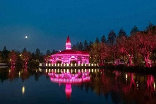 松江夜景排名前十(松江夜景最好的地方)插图8