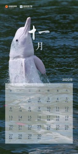 国庆节放假2021年放几天(国庆法定3天还是7天)插图11
