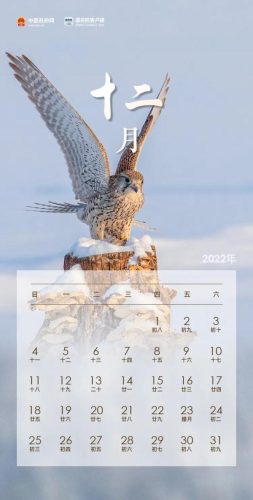 国庆节放假2021年放几天(国庆法定3天还是7天)插图12