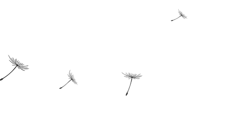 寿宁刑事律师排名前十(寿宁律师免费咨询)插图