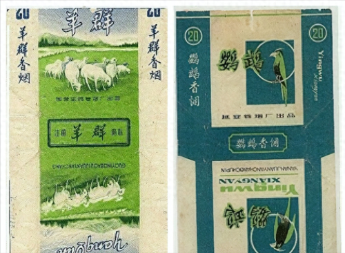 中国排名前十烟(中国最顶级的烟)插图148