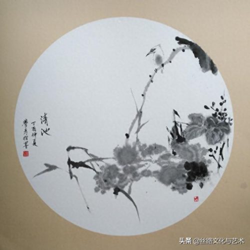 白腹凯克鹦鹉(凯克多少钱一只)插图14